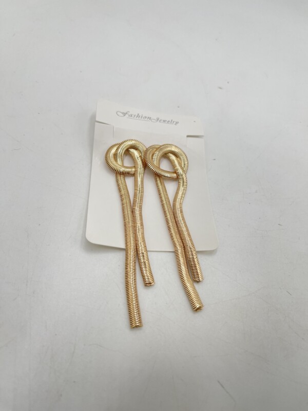 Boucles d'Oreilles Longues et Simples à Pampilles