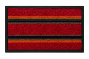 Tapis d'Entrée Antidérapant Premium