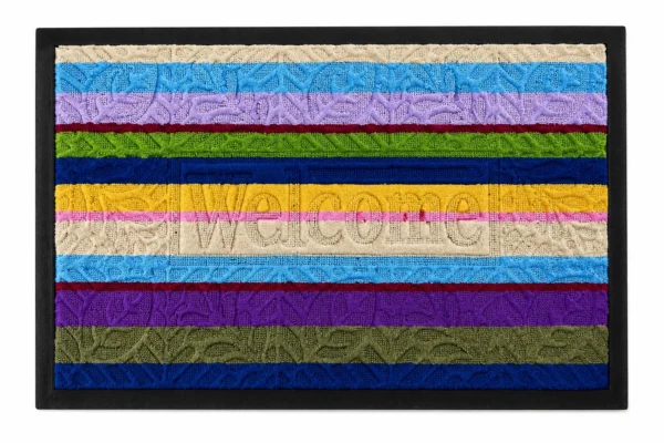 Tapis d'Entrée Multicolore Antidérapant Premium Tapis d'Entrée Multicolore Antidérapant Premium