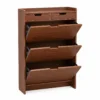 Meuble à Chaussures en Bois avec Rangements Rabattables